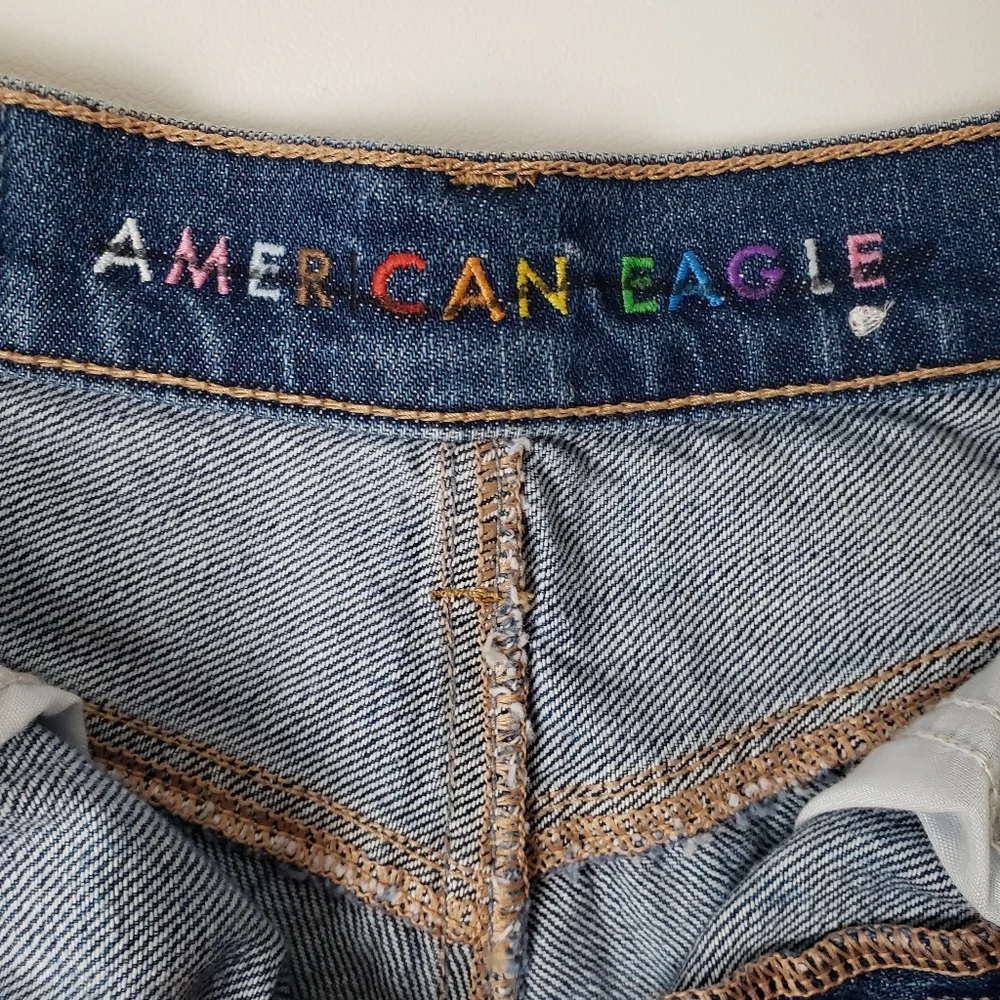 American Eagle *NEW* Womens Rainbow Highest Rise 90s Boyfriend Denim Shorts 00